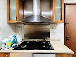 Hazel Park Condominium (D23), Condominium #583493551